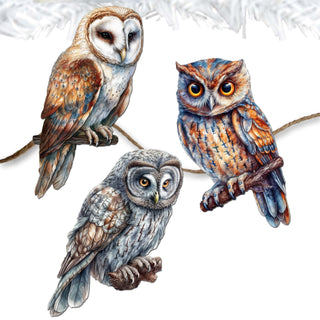 Night Owls Clip-On Eco Wood Decorative Ornaments Set of 3 by G. Debrekht - Wildlife Decor - 8091004C-S3