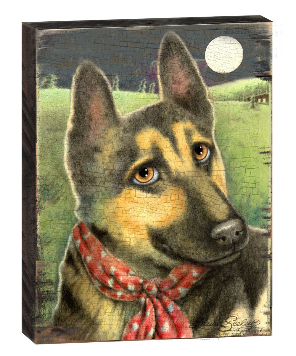 Spring Training Wooden Wall Art by Laura Seeley - Pets Dog and Cats Decor - 8511115B