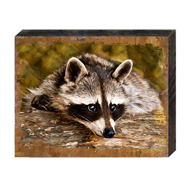 Racoon Art Wooden Wall Art by Nature Wonders - Nature Wildlife Decor - 95289B