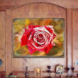 Amil Rose Art Wooden Wall Art by Nature Wonders - Love Family Kids Decor - 95299B