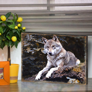 Wolf Art Wooden Wall Art by Nature Wonders - Nature Wildlife Decor - 95287B