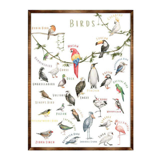 Nature Birds Wooden Wall Decor - Kids room decor - First day of school gift - ABC 123 Kids - Homeschool I Educational Poster - Art for kids - Alphabet - Classroom Decor - 310214