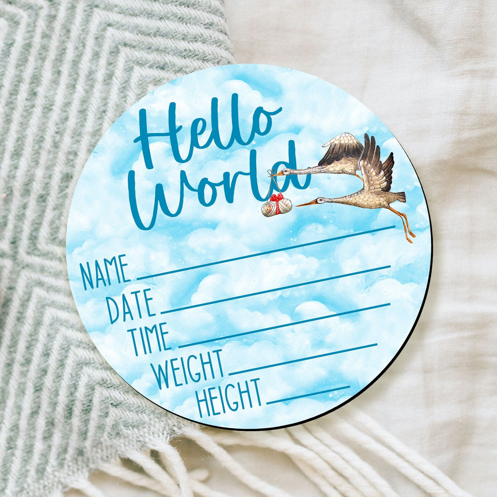 Hello World New Baby Sign - Birth Announcement - Birth Stats Sign - New Mom Gift 961047