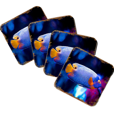 a collection of four square coasters, each with a vibrant, colorful fish image on them.