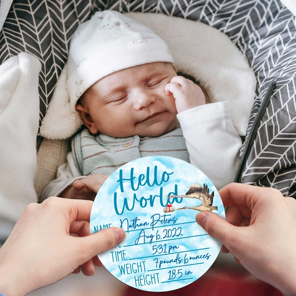 Hello World New Baby Sign - Birth Announcement - Birth Stats Sign - New Mom Gift 961047