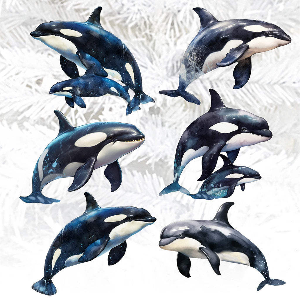 Majestic Orcas Clip-On Eco Wood Decorative Ornaments Set of 6 by G. Debrekht - Wildlife Decor - 8090102C-S6