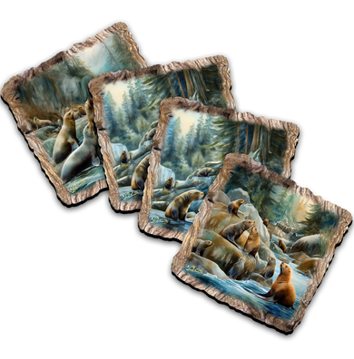 The image is a collage of four pictures depicting various scenes of marine life, including sea lions and other sea creatures, set against a backdrop of a forested area.