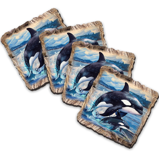 The image is a collage of four square images depicting orca (or killer whale) in various poses and settings, including one in the ocean and another in a forested area.