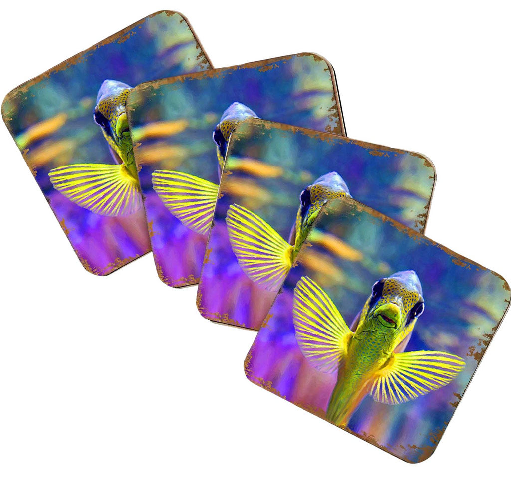 A collage of three square images featuring a colorful fish with yellow and green fins against a purple background.