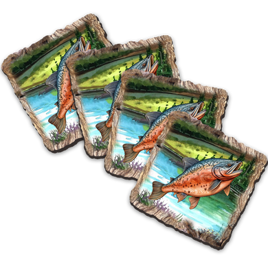 The image is a collage of three pictures depicting fish in various natural settings, including a river, forest, and water.