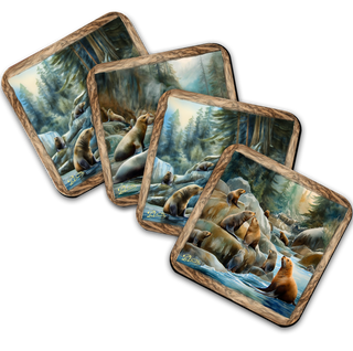 A collage of four images depicting various scenes of marine life, including seals and other sea creatures, in a natural environment.